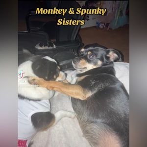 Poshers/customers Please read